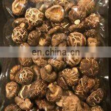 Natural Dry Shiitake Mushrooms Bulk Dried Mushrooms/Wholesale Cheap Healthy Dried Shiitake Mushroom From Vietnam thumbnail-4
