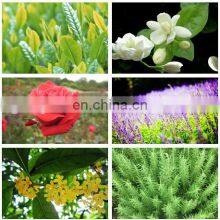 Factory Genyond Mint Essential Oil Distiller Distillation Equipment Extractor Extracting Machine thumbnail-4