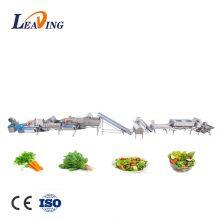 Automatic Bubbles Fruit Processing Vortex Vegetable Washing Machine With Bubble Ozone