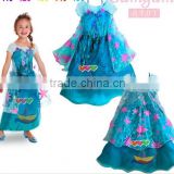new style frozen elsa princess dress elsa costume girls dress BC393