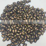 New Crop Sweet Melon Seed thumbnail-3
