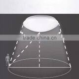 Microwave Motion Sensor Ceiling Lamp 4000K Dual-lighting Zhongshan Cheap Price CE Rohs thumbnail-3