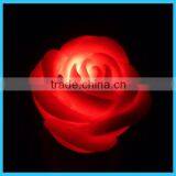 Outdoor Lighted Palm Tree