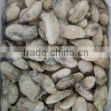 IQF OYSTER MEAT