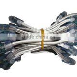 GREEN Color Led 12mm Node,through-hole Type,injection Made,IP65 Rated;DC5V Input;0.1W;50pcs a String