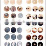 Buffalo Horn Buttons Blanks 1 thumbnail-1