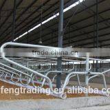 Cow Lying Bar, Cow Lying Bed, Cattle Bedrest thumbnail-3
