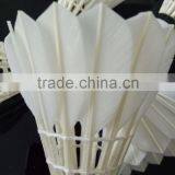 Good Quality Protech Badminton Shuttlecock With Stable Flight and Accurate Speed thumbnail-1