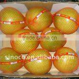 Fresh Pomelos (8/9/10/11/12)