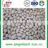 Chinese Blanched Peanut With Factory Price and Good Quality thumbnail-5