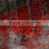 2015 Fresh Goji Berry thumbnail-2