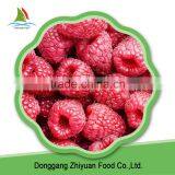 China IQF Frozen Bulk Red And Black Raspberry thumbnail-6