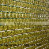 Pickled Preservation Style Baby Cucumber thumbnail-3