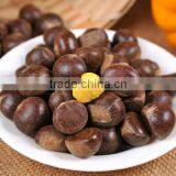 2015 New Crop Fresh Raw Chestnuts thumbnail-3