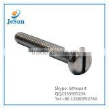 China Supplier M12 Stainless Steel Long Screw, Screw+8613580993760 thumbnail-1