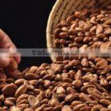 Cocoa Bean Cleaning Machine for Sale in Africa thumbnail-6