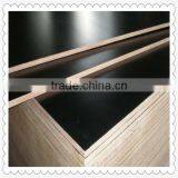 18 mm Best Price Marine Plywood / Film Faced Plywood / Construction Materials thumbnail-4