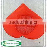 Colorful PE Patio,Garden Planting Bag,Growing Bag