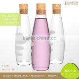 350Ml 400Ml 450Ml Fruit Juice Glass Bottle For Sale