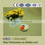 Wholesale High Quality Colorful Hotel Used Ceramic Dish thumbnail-1