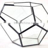 Stretched Dodecahedron 3 Sizes Geometric Fruit Glass Terrarium thumbnail-3