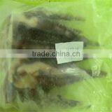 Best Season Giant Frozen Recipe Squid thumbnail-1