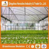 Heracles Trade Assurance Agricultural Greenhouse for Tomato thumbnail-3