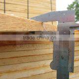 Sawn Birch Timber thumbnail-6