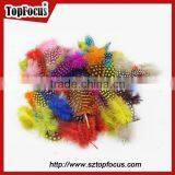 Cheap Dyed Guinea Fowl Wholesale Artificial Feathers for Carnival Costumes thumbnail-3