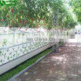 Agricultural Greenhouse Wall Hydroponic Growing Systems thumbnail-6