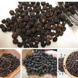 Dehydrated Black Pepper Wholesale Price