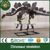 JLDF-0624 High Quality Dinosaur Skeleton for Science Museum