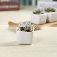 White porcelain vase modern style decorative vase for small succulent plant pots