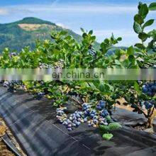 Anti Weed Mat 100% PP Woven Geotextile Weed Control Artificial Ground Cover For Blueberry thumbnail-5