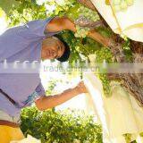 Factory Price Different Size Fruit Growing Bag thumbnail-6