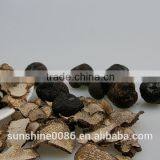 2016 New Crop Dried Black Truffle With Market Prices for Mushroom thumbnail-2