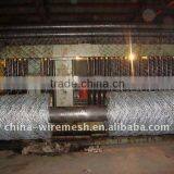 Electro Galvanized Hexagonal Wire Mesh