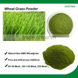 Organic Non-GMO Wheat Grass Powder