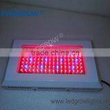 120W Great Indoor Plant Lamps EG-112*1W-LG1-SXB
