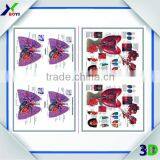 China Factory 3d Pvc Medical Anatomical Chart