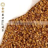 Traditional Chinese medicine Parched cassia seed