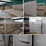 Polyurethane Insulated Glass Door Freezer Storage thumbnail-6
