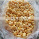 Non-GMO IQF Sweet Corn Kernels With HALAL or KOSHER Certificates thumbnail-1
