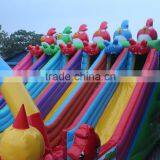 PVC Material Ocean Theme Mini Bouncy Castle, Inflatable Bouncer and Slide With Ladder thumbnail-4
