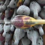 XPE FOAM Good Quality Dove Decoy thumbnail-1