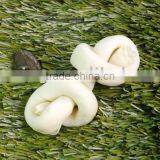 Pet Food:knotted Bone ( Retriever ) thumbnail-1