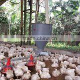 New sales!!!! high quality poultry feeder chicken feede boiler chicken
