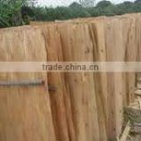 Vietnam Eucalyptus core veneer for plywood 1.7