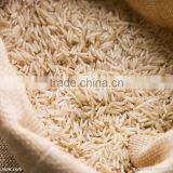 Artificial Rice Extruder Machinery thumbnail-5