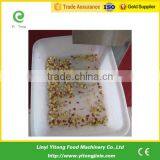 Electric Automatic Stainless Steel Industrial Commercial Vegetable Dicer Slicer Machine thumbnail-3